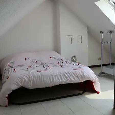 Apartment Le Saint Joseph Colmar